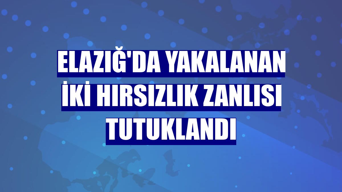Elazığ'da yakalanan iki hırsızlık zanlısı tutuklandı