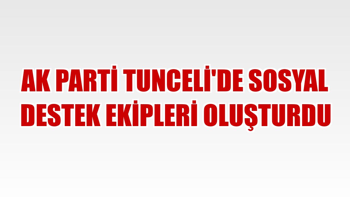 AK Parti Tunceli'de sosyal destek ekipleri oluşturdu