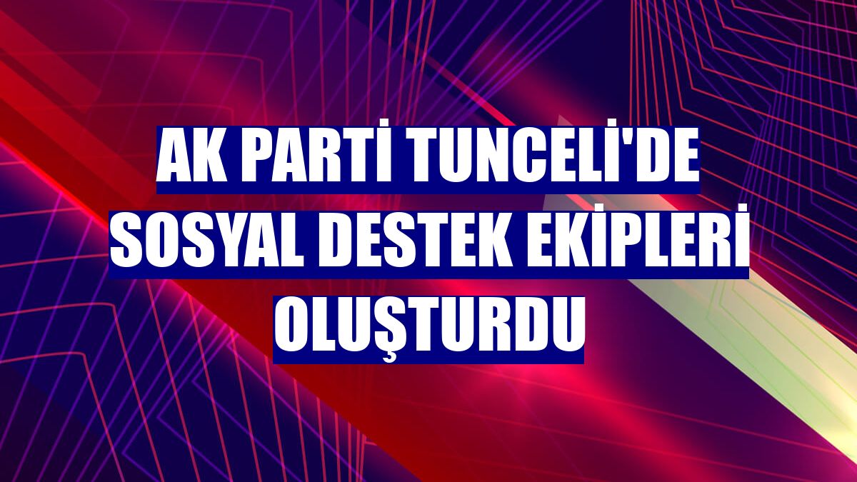 AK Parti Tunceli'de sosyal destek ekipleri oluşturdu