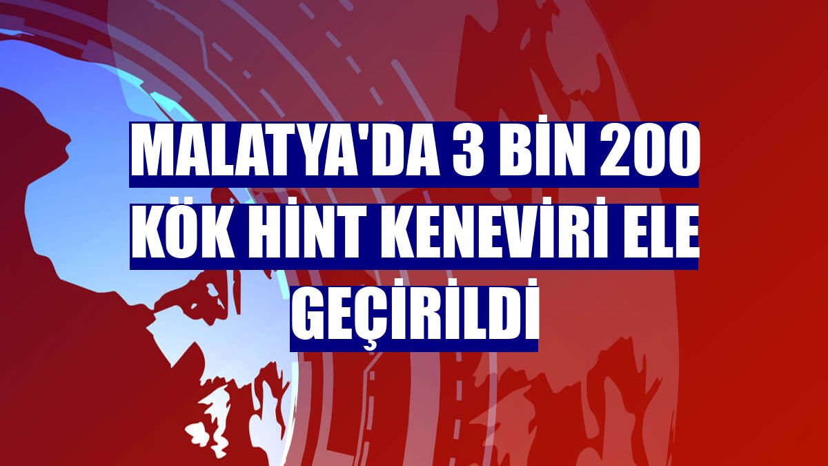 Malatya'da 3 bin 200 kök Hint keneviri ele geçirildi