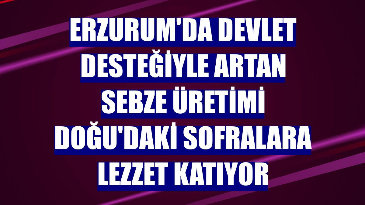 Erzurum'da devlet desteğiyle artan sebze üretimi Doğu'daki sofralara lezzet katıyor
