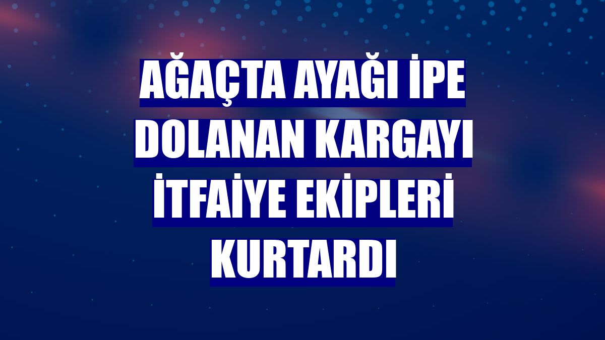 Ağaçta ayağı ipe dolanan kargayı itfaiye ekipleri kurtardı