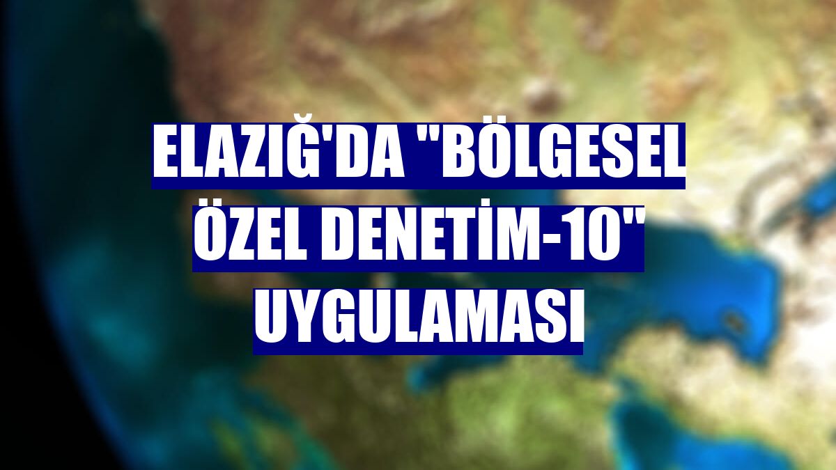 Elazığ'da "Bölgesel Özel Denetim-10" uygulaması