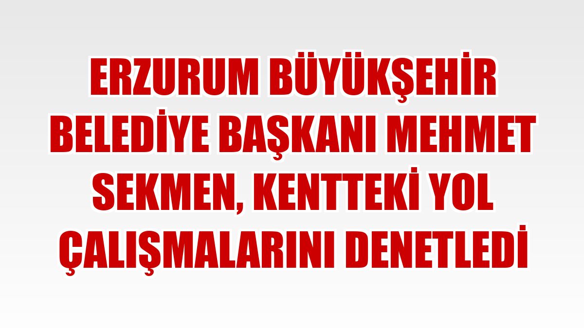 Erzurum Büyükşehir Belediye Başkanı Mehmet Sekmen, kentteki yol çalışmalarını denetledi