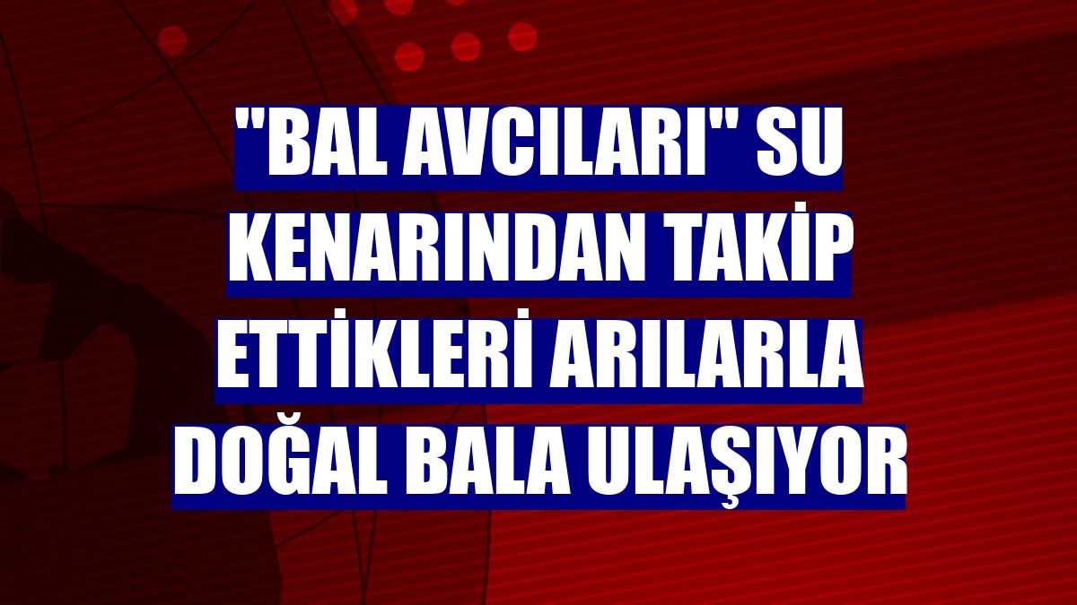 "Bal avcıları" su kenarından takip ettikleri arılarla doğal bala ulaşıyor