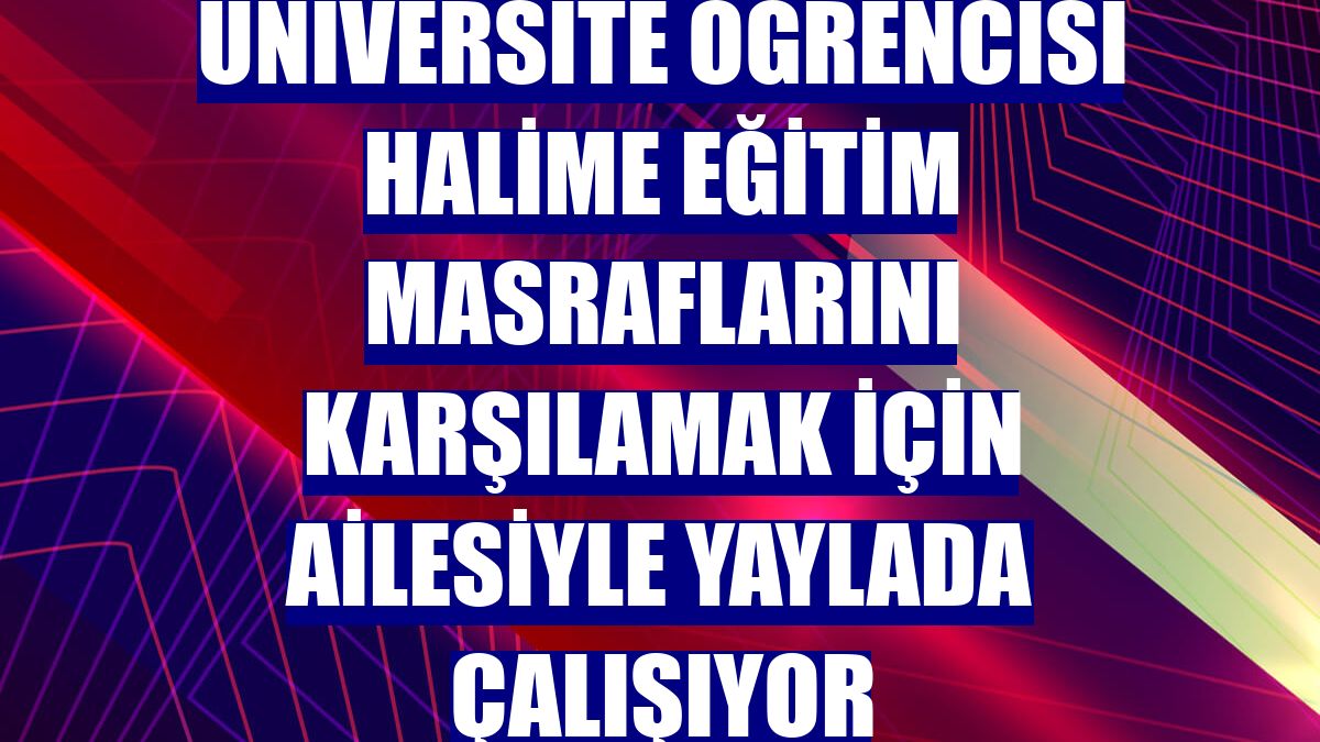 Üniversite öğrencisi Halime eğitim masraflarını karşılamak için ailesiyle yaylada çalışıyor