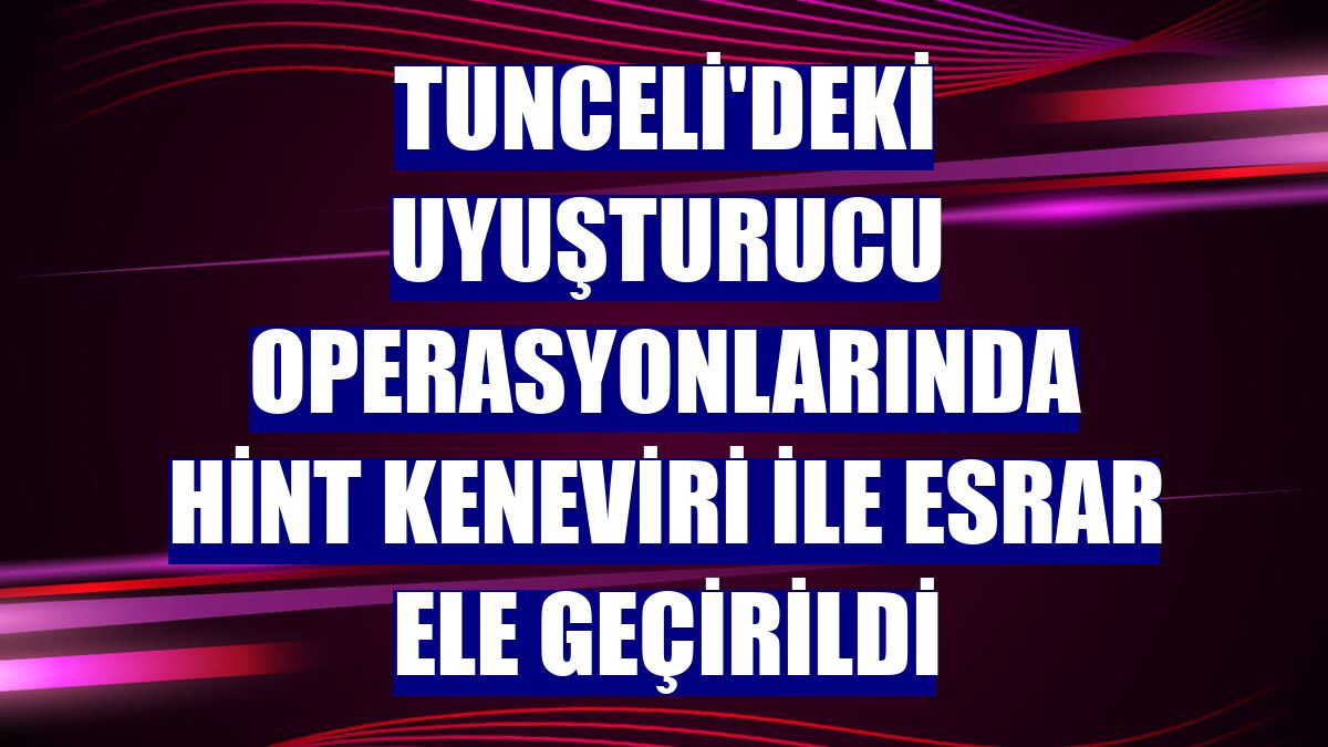 Tunceli'deki uyuşturucu operasyonlarında Hint keneviri ile esrar ele geçirildi