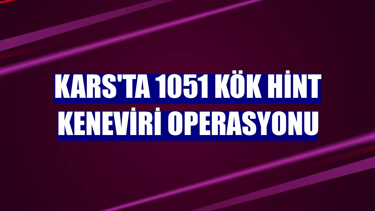 Kars'ta 1051 kök Hint keneviri operasyonu