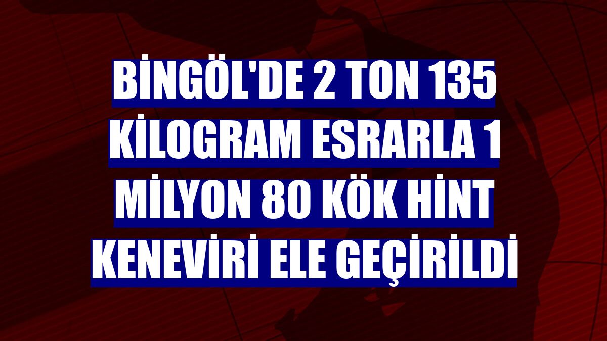 Bingöl'de 2 ton 135 kilogram esrarla 1 milyon 80 kök Hint keneviri ele geçirildi