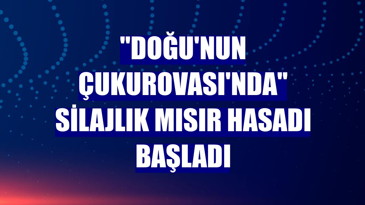 "Doğu'nun Çukurovası'nda" silajlık mısır hasadı başladı