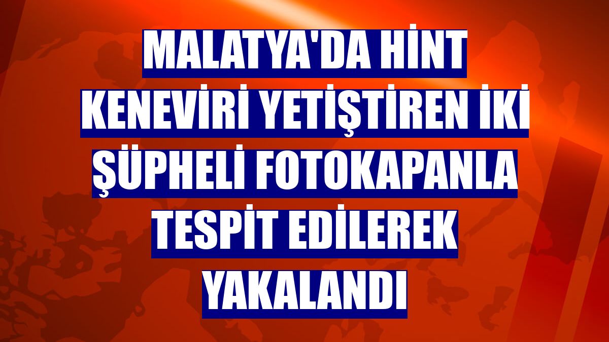 Malatya'da Hint keneviri yetiştiren iki şüpheli fotokapanla tespit edilerek yakalandı