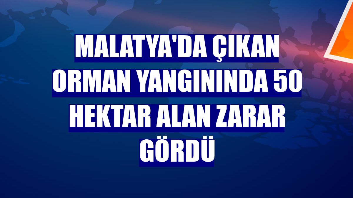 Malatya'da çıkan orman yangınında 50 hektar alan zarar gördü