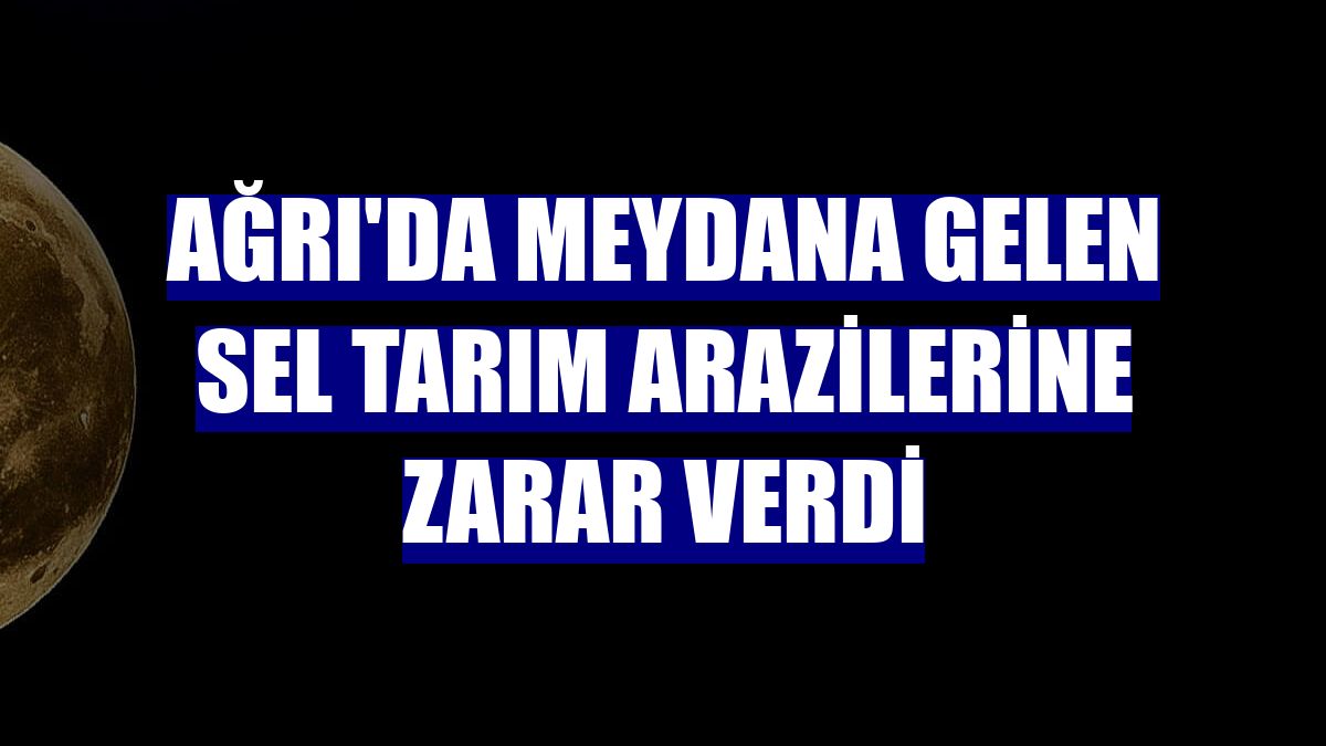Ağrı'da meydana gelen sel tarım arazilerine zarar verdi