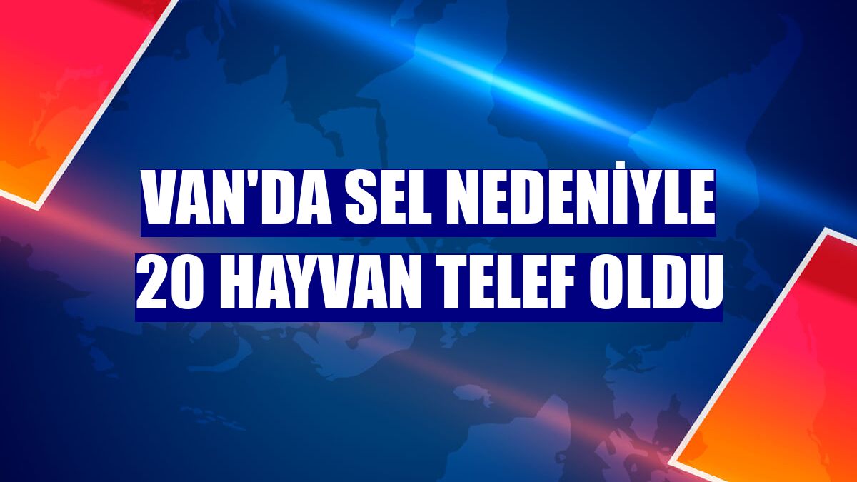 Van'da sel nedeniyle 20 hayvan telef oldu