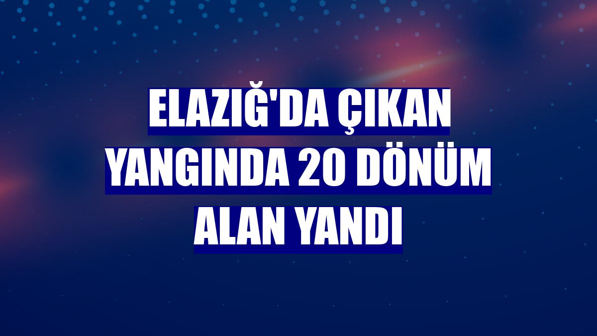 Elazığ'da çıkan yangında 20 dönüm alan yandı