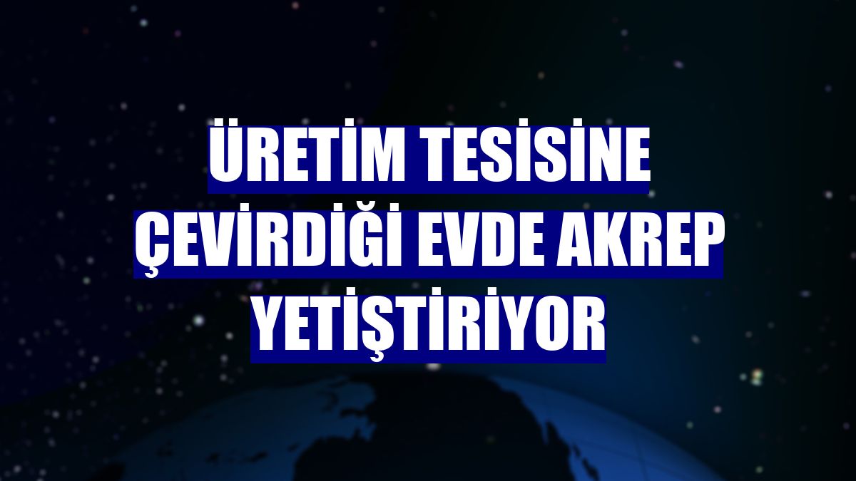 Üretim tesisine çevirdiği evde akrep yetiştiriyor