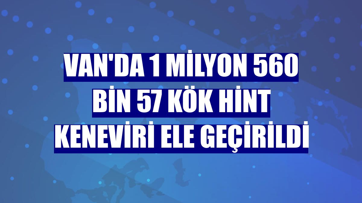 Van'da 1 milyon 560 bin 57 kök Hint keneviri ele geçirildi