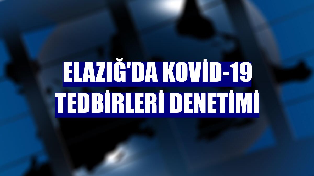 Elazığ'da Kovid-19 tedbirleri denetimi