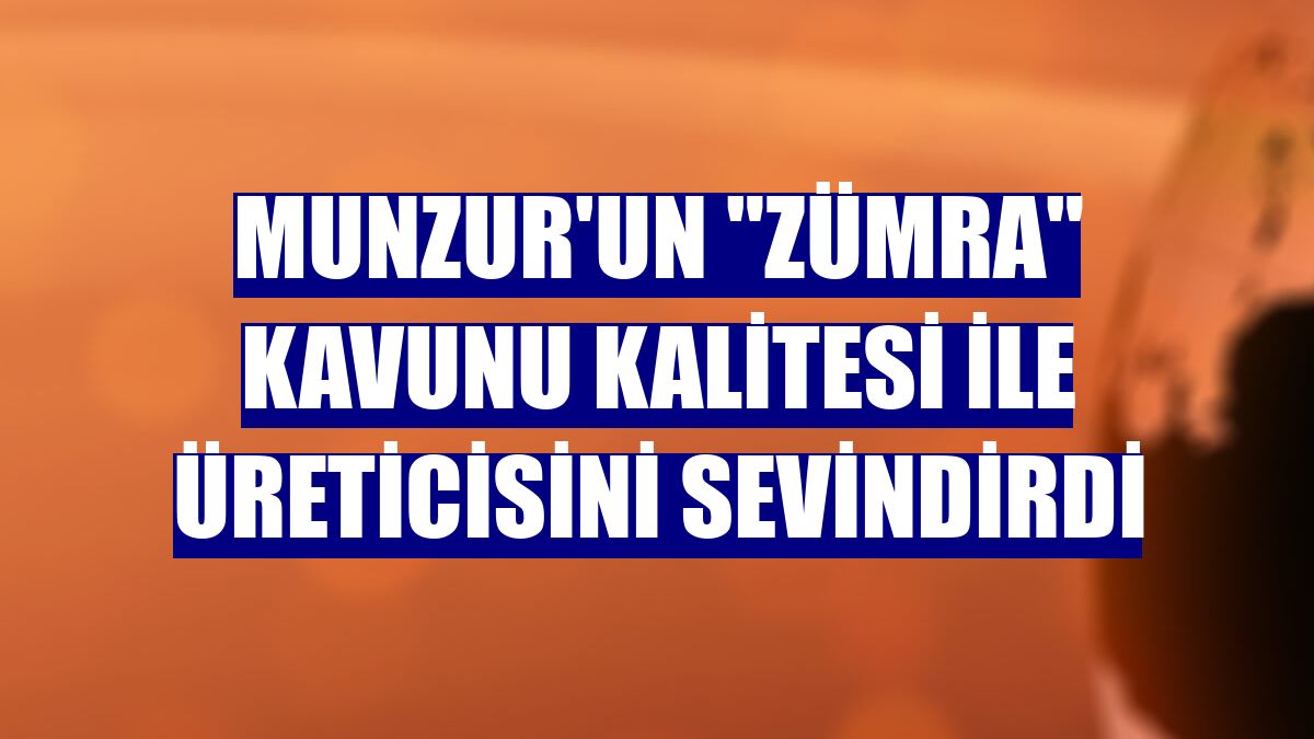Munzur'un "Zümra" kavunu kalitesi ile üreticisini sevindirdi