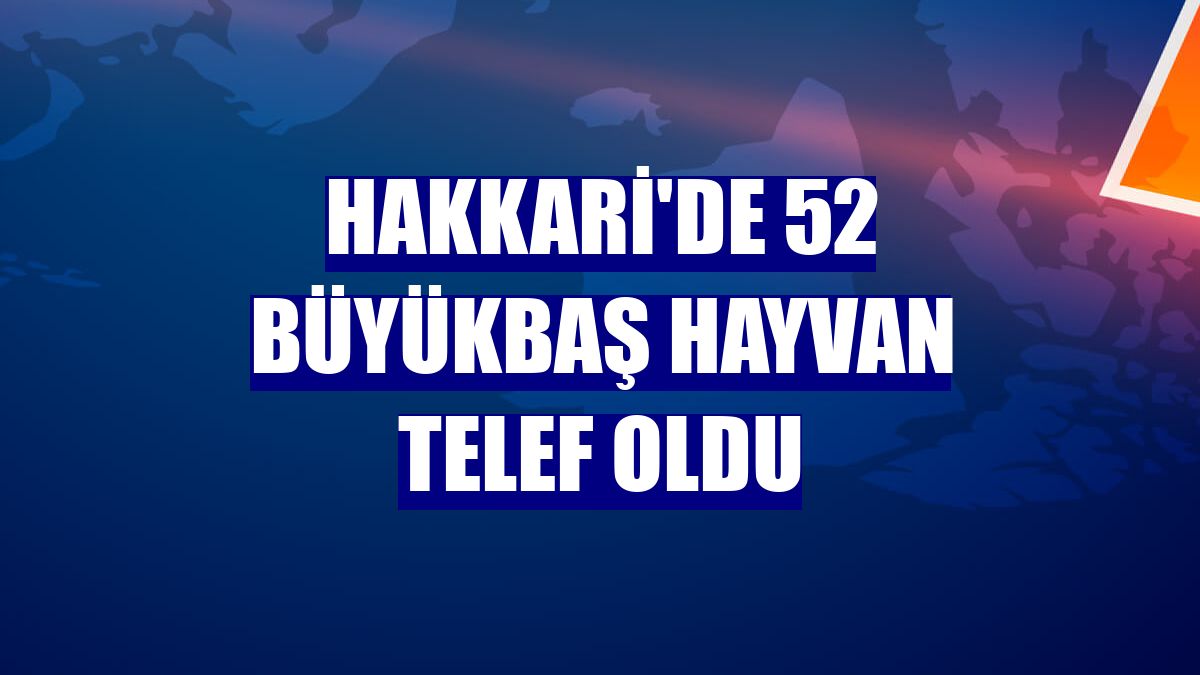 Hakkari'de 52 büyükbaş hayvan telef oldu