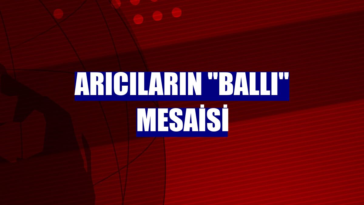 Arıcıların "ballı" mesaisi