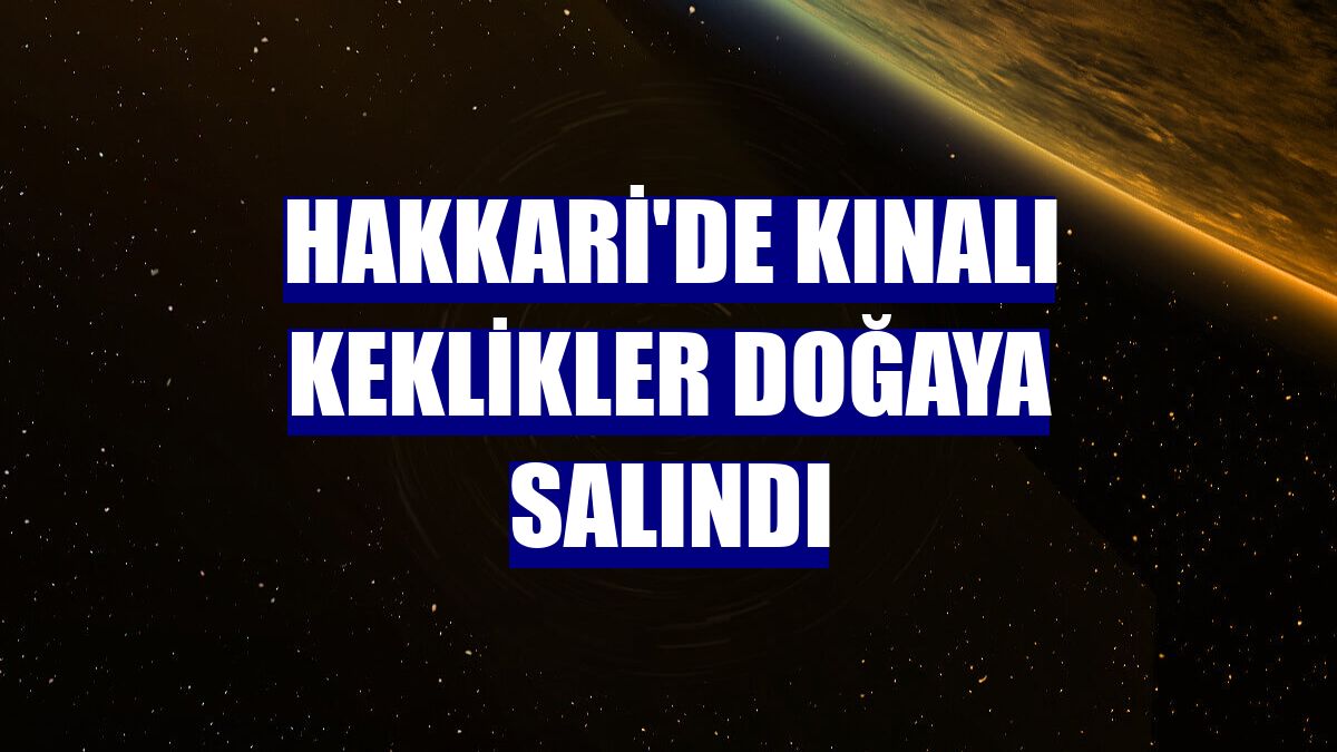 Hakkari'de kınalı keklikler doğaya salındı