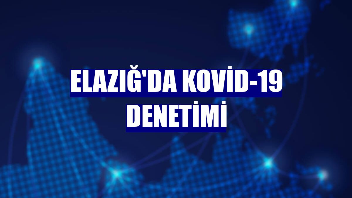 Elazığ'da Kovid-19 denetimi
