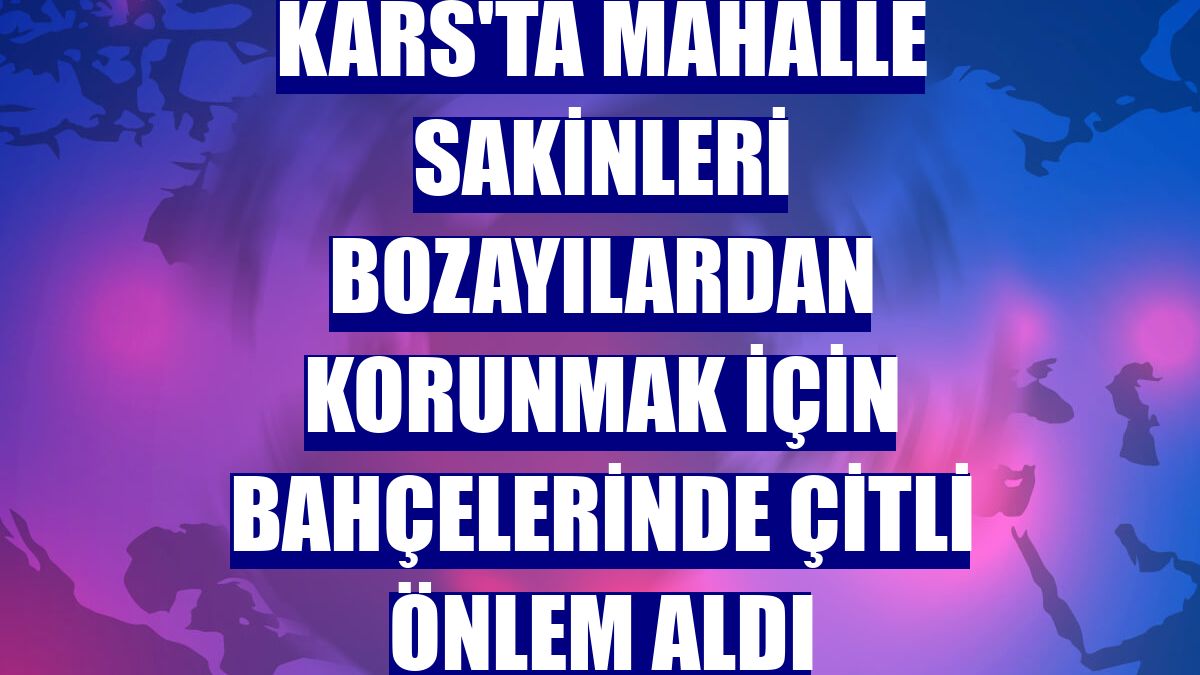 Kars'ta mahalle sakinleri bozayılardan korunmak için bahçelerinde çitli önlem aldı