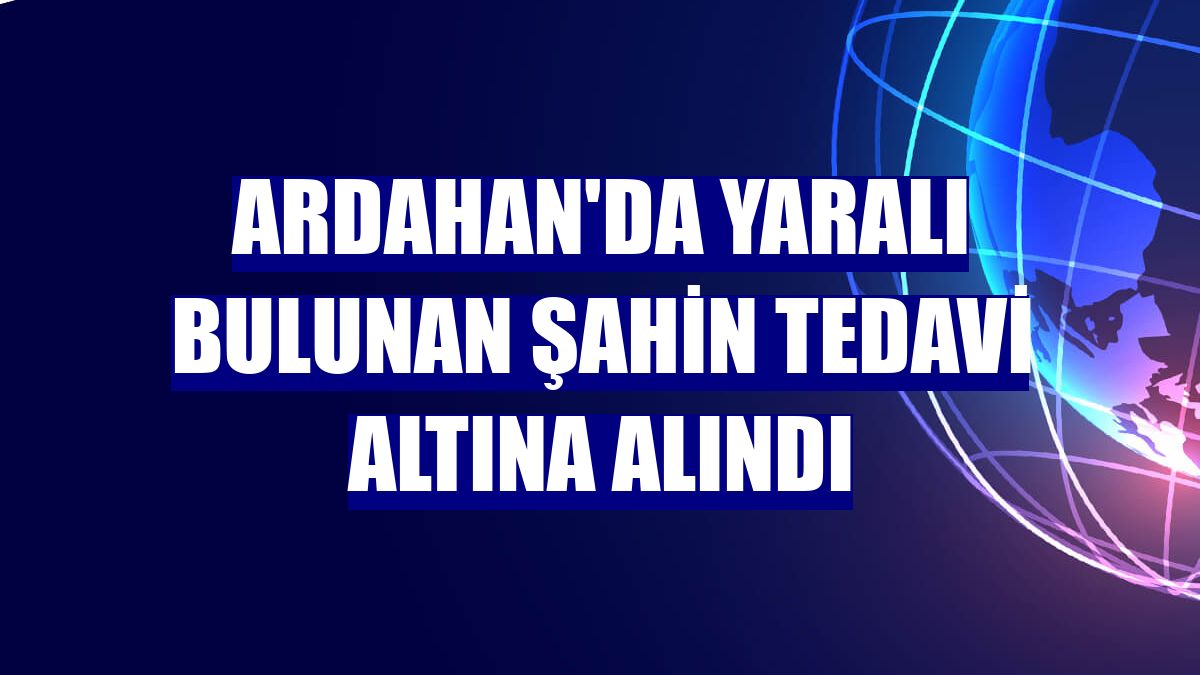 Ardahan'da yaralı bulunan şahin tedavi altına alındı