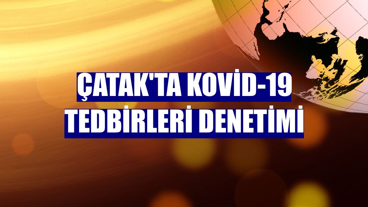 Çatak'ta Kovid-19 tedbirleri denetimi