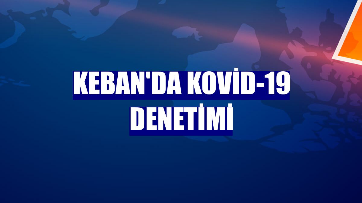 Keban'da Kovid-19 denetimi