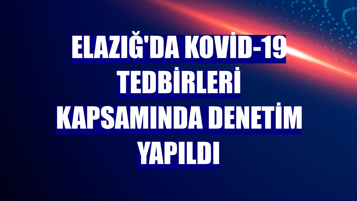 Elazığ'da Kovid-19 tedbirleri kapsamında denetim yapıldı