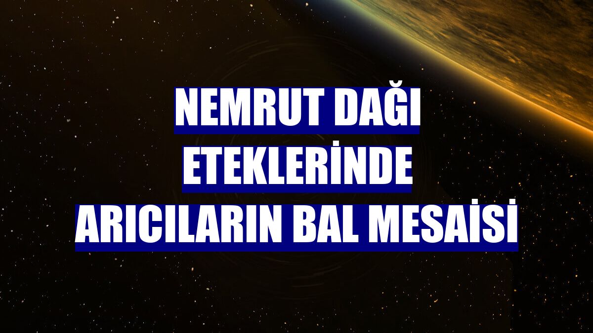 Nemrut Dağı eteklerinde arıcıların bal mesaisi