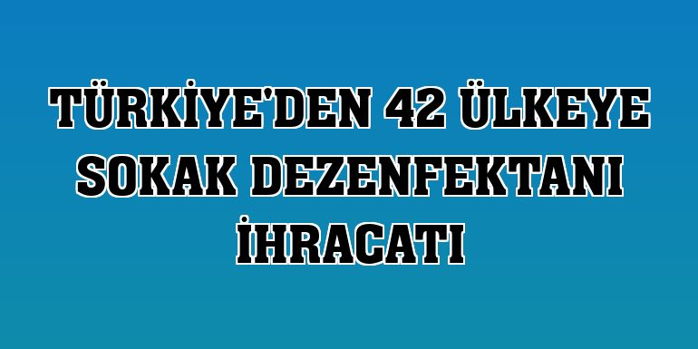 Türkiye'den 42 ülkeye sokak dezenfektanı ihracatı