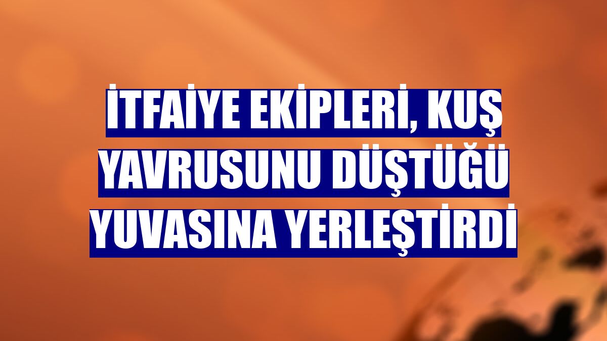 İtfaiye ekipleri, kuş yavrusunu düştüğü yuvasına yerleştirdi