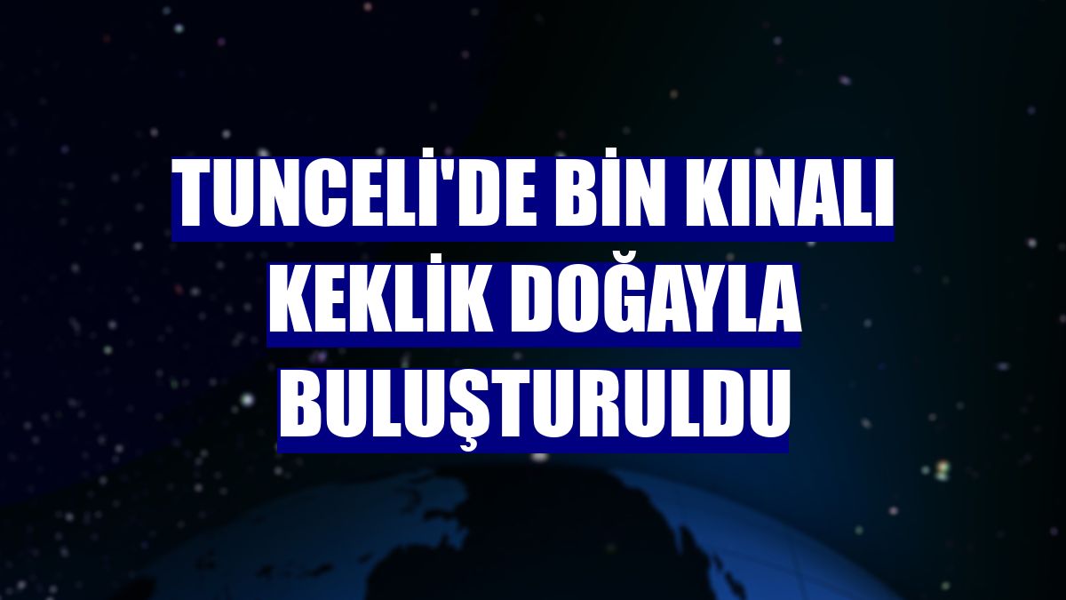 Tunceli'de bin kınalı keklik doğayla buluşturuldu