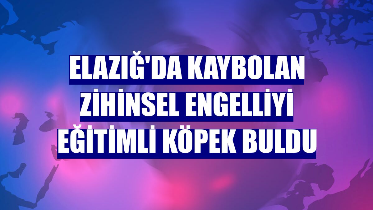 Elazığ'da kaybolan zihinsel engelliyi eğitimli köpek buldu