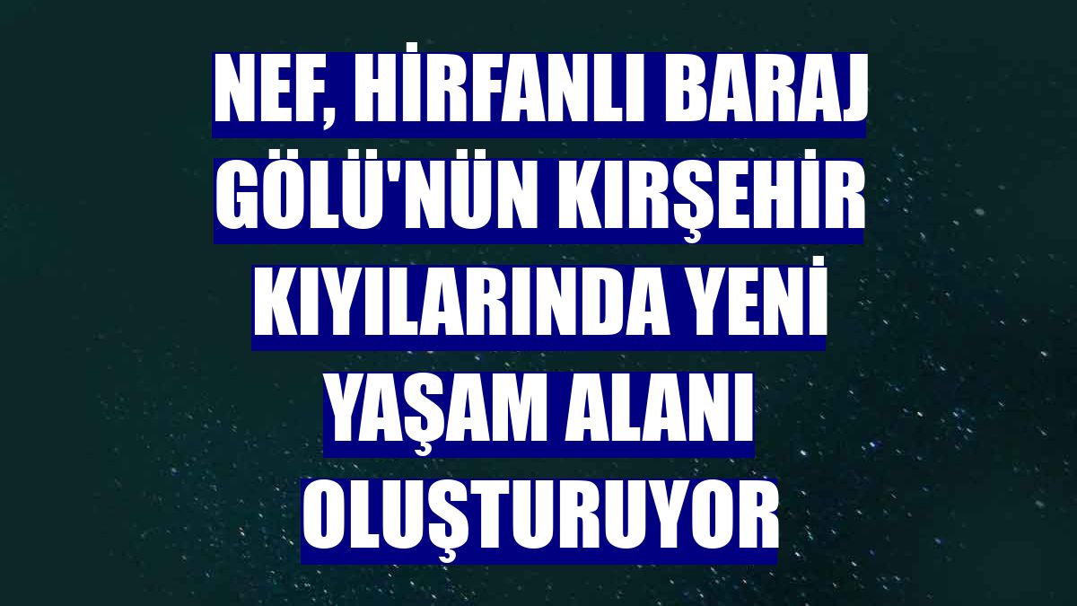 Nef, Hirfanlı Baraj Gölü'nün Kırşehir kıyılarında yeni yaşam alanı oluşturuyor