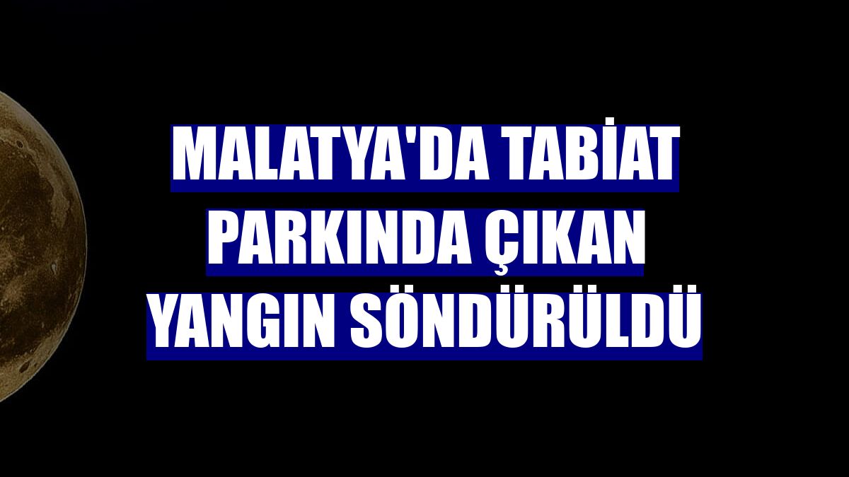 Malatya'da tabiat parkında çıkan yangın söndürüldü