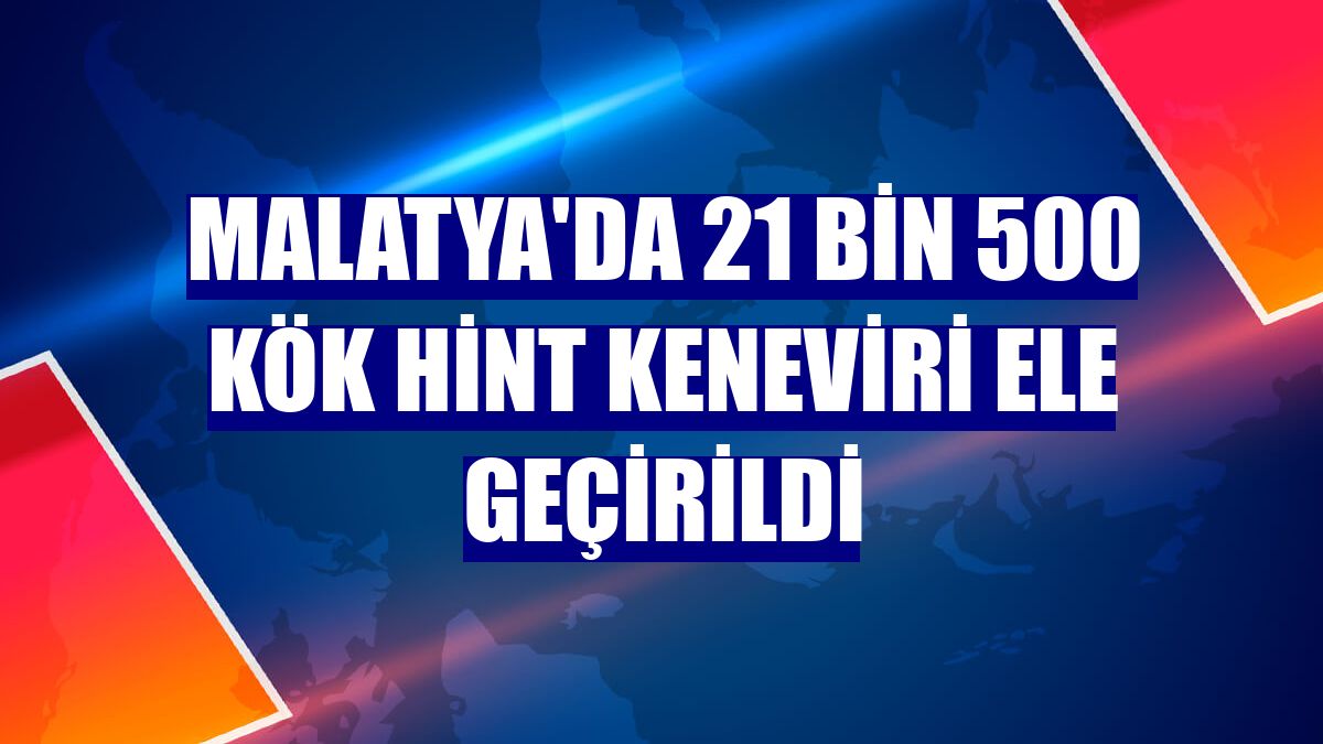 Malatya'da 21 bin 500 kök Hint keneviri ele geçirildi