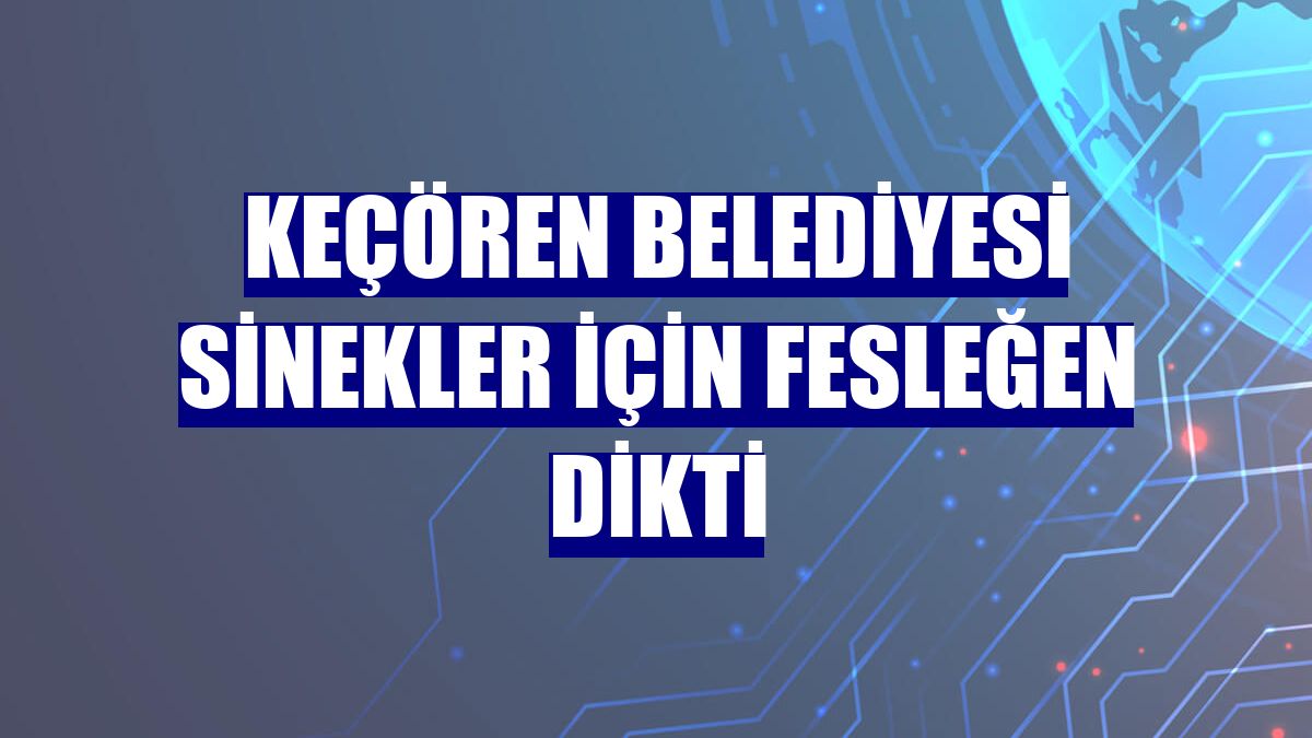 Keçören Belediyesi sinekler için fesleğen dikti