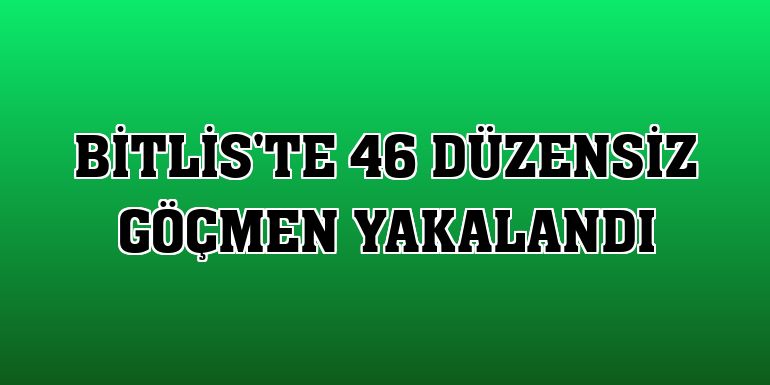 Bitlis'te 46 düzensiz göçmen yakalandı