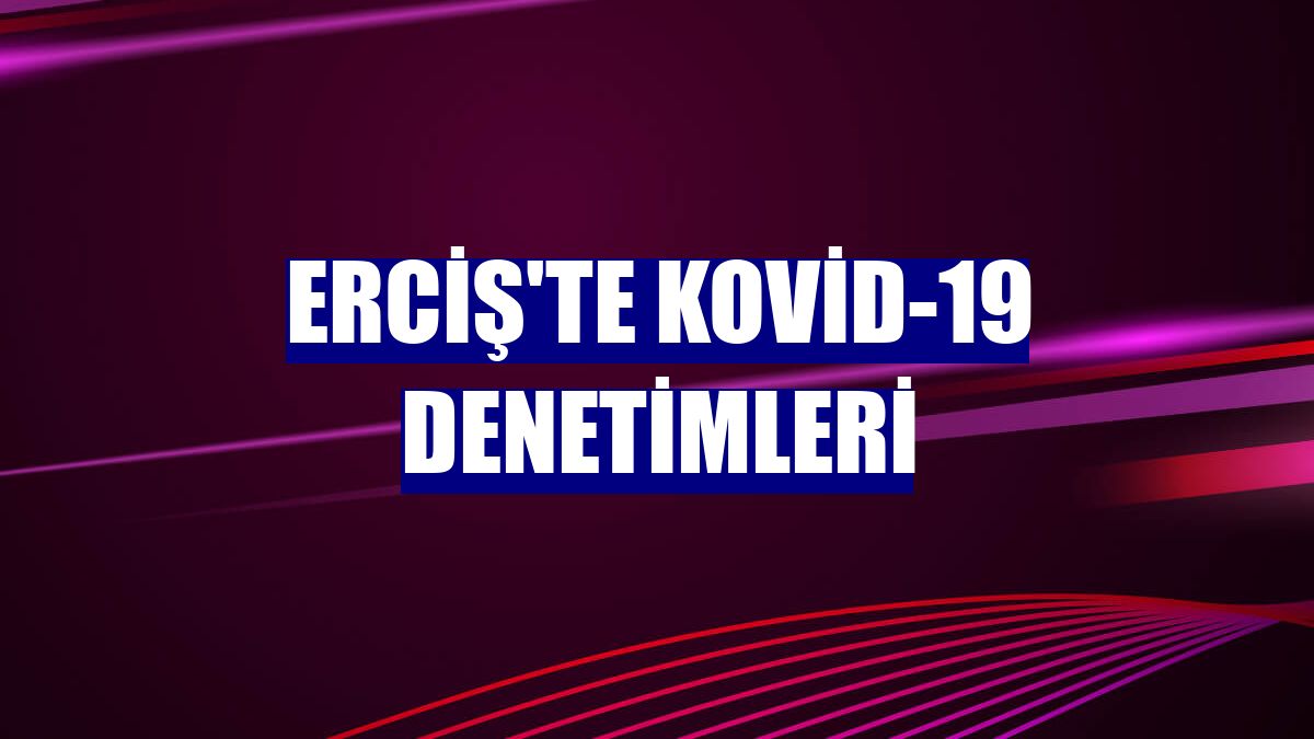 Erciş'te Kovid-19 denetimleri