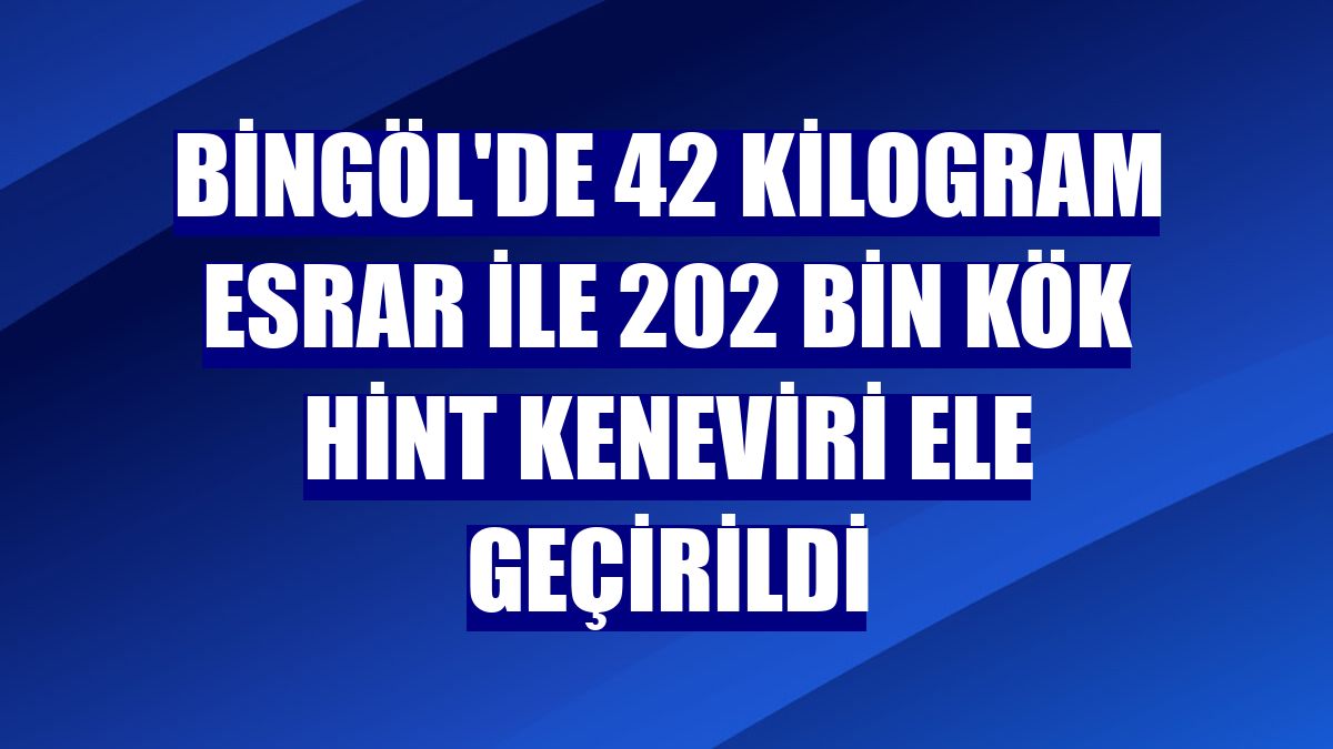 Bingöl'de 42 kilogram esrar ile 202 bin kök Hint keneviri ele geçirildi