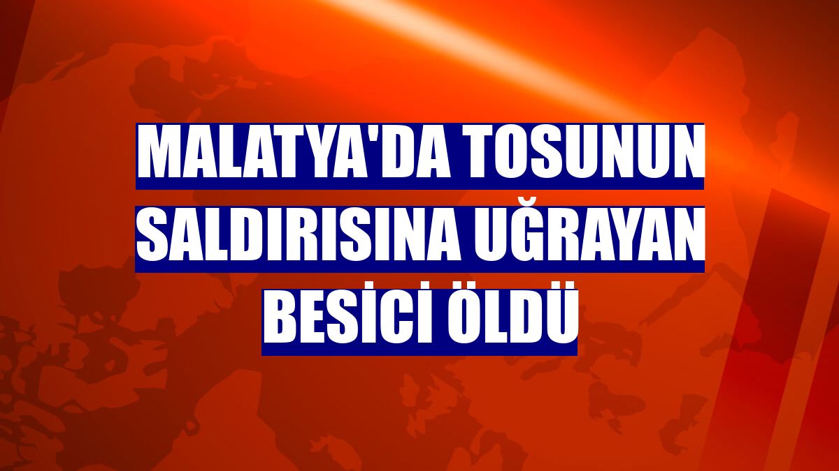 Malatya'da tosunun saldırısına uğrayan besici öldü