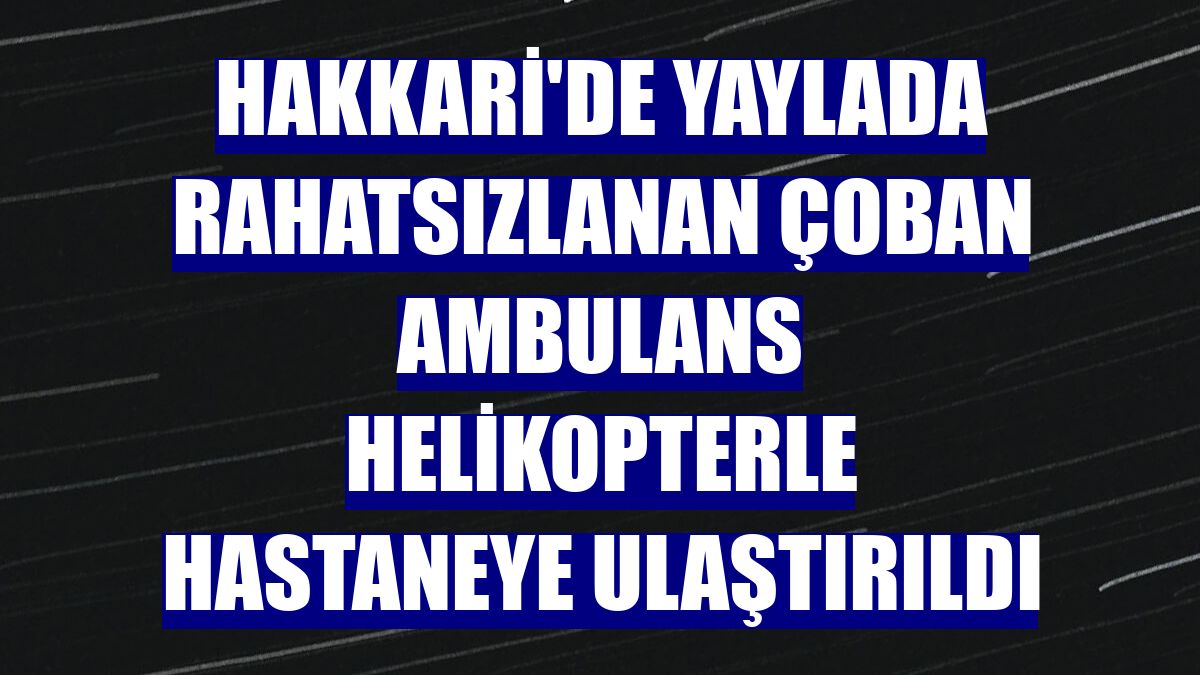 Hakkari'de yaylada rahatsızlanan çoban ambulans helikopterle hastaneye ulaştırıldı