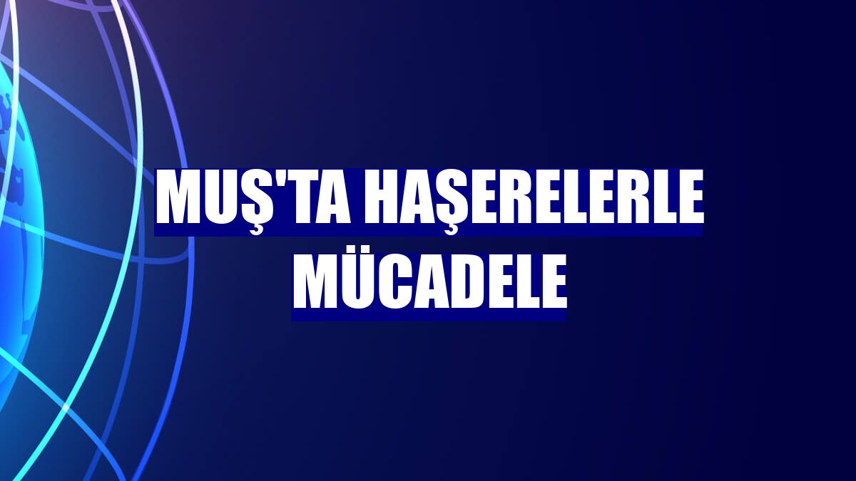 Muş'ta haşerelerle mücadele