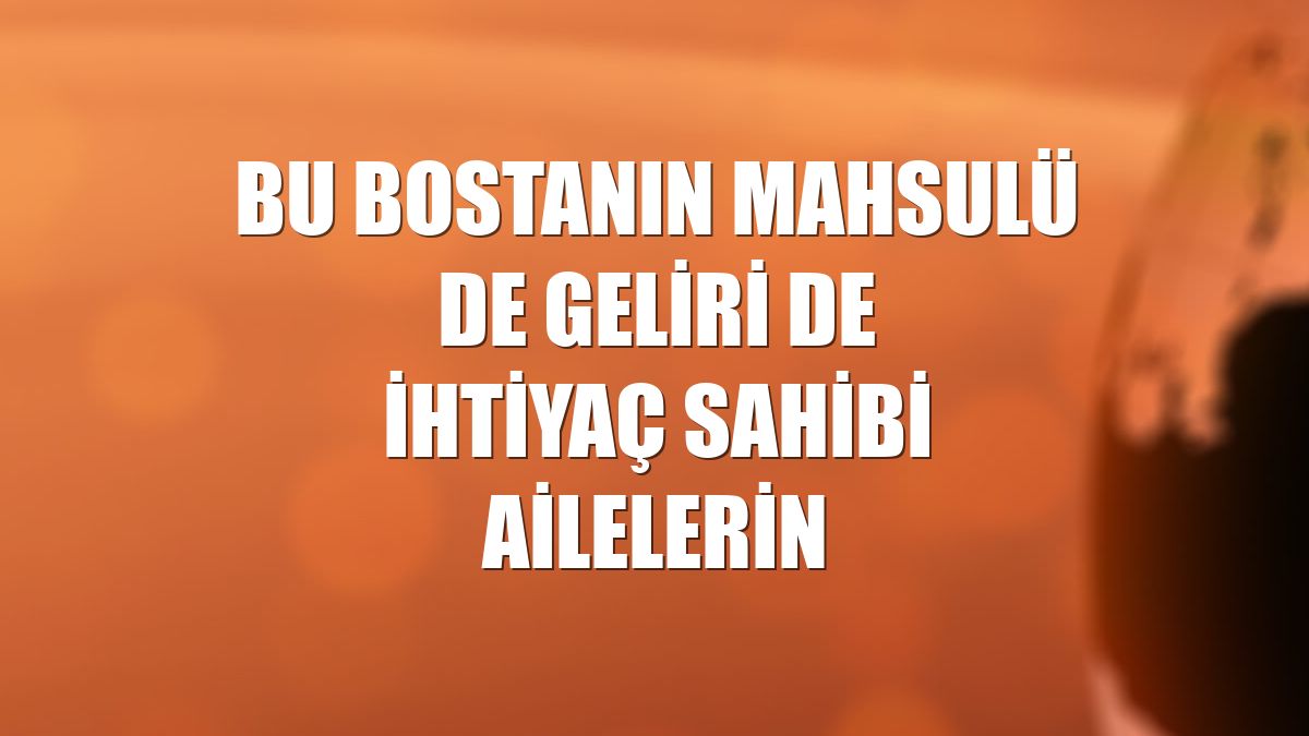 Bu bostanın mahsulü de geliri de ihtiyaç sahibi ailelerin