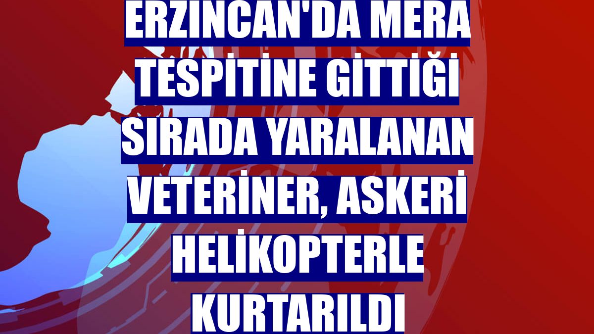 Erzincan'da mera tespitine gittiği sırada yaralanan veteriner, askeri helikopterle kurtarıldı