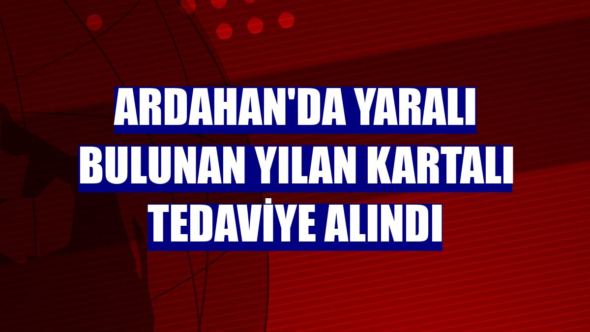 Ardahan'da yaralı bulunan yılan kartalı tedaviye alındı